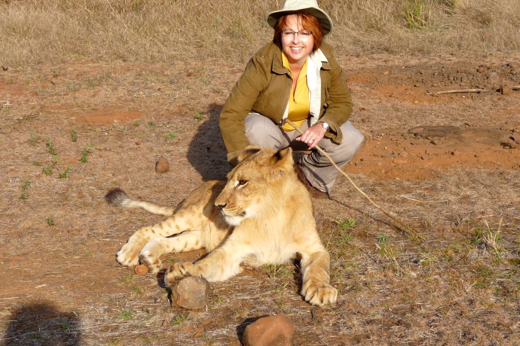 Yours truly with a young lion on the Lion Encounter, Masuwe Reserve, Zimbabwe